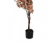 Dekorační stromek Magnolia s lososovými květy - 20*20*135 cm Clayre & Eef