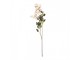 Artificial Flower 120 Cm White Plastic - 14*14*120 cm Clayre & Eef