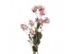 Artificial Flower 120 Cm Pink Plastic - 14*14*120 cm Clayre & Eef