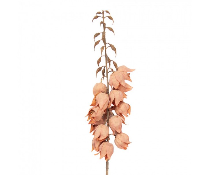 Dekorace umělá květina Yucca s oranžovými květy - 12*12*100 cm Clayre & Eef