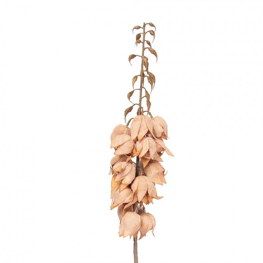 Dekorace umělá květina Yucca s lososovými květy - 12*12*100 cm