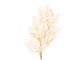 Artificial Flower 104 Cm Beige Plastic - 15*22*104 cm Clayre & Eef