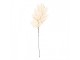 Artificial Flower 104 Cm Beige Plastic - 15*22*104 cm Clayre & Eef