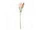 Artificial Flower 88 Cm Pink Plastic - 12*16*88 cm Clayre & Eef