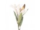 Artificial Flower 88 Cm Beige Plastic - 12*16*88 cm Clayre & Eef