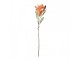 Artificial Flower 88 Cm Orange Plastic - 12*16*88 cm Clayre & Eef