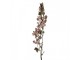 Artificial Flower 110 Cm Pink Plastic - 12*15*110 cm Clayre & Eef