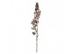 Artificial Flower 110 Cm Pink Plastic - 12*15*110 cm Clayre & Eef
