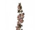 Artificial Flower 110 Cm Pink Plastic - 12*15*110 cm Clayre & Eef