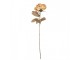 Artificial Flower 70 Cm Beige Plastic - 14*14*70 cm Clayre & Eef