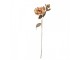 Artificial Flower 73 Cm Brown Plastic - 14*17*73 cm Clayre & Eef