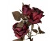 Vínová umělá květina růže - 12*12*70 cm Clayre & Eef