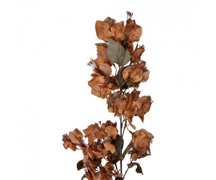 Artificial Flower 101 Cm Brown Plastic - 10*15*101 cm Clayre & Eef
