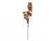 Artificial Flower 101 Cm Brown Plastic - 10*15*101 cm Clayre & Eef