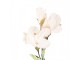 Artificial Flower 85 Cm Beige Plastic - 10*18*85 cm Clayre & Eef