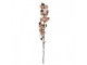 Artificial Flower 110 Cm Pink Plastic - 12*15*110 cm Clayre & Eef