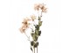 Artificial Flower 120 Cm Beige Plastic - 12*18*125 cm Clayre & Eef