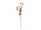Artificial Flower 120 Cm Beige Plastic - 12*18*125 cm Clayre & Eef
