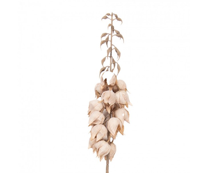 Dekorace umělá květina Yucca s béžovými květy - 12*12*100 cm Clayre & Eef