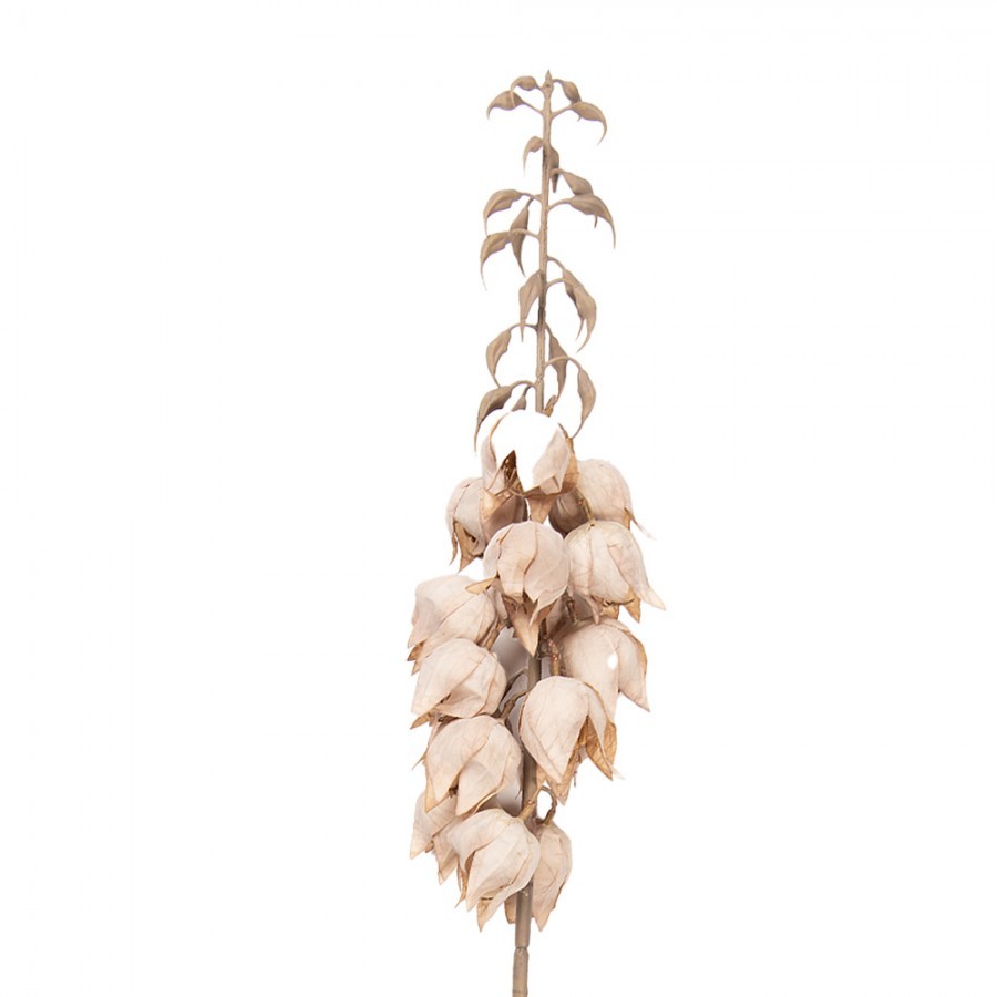 Dekorace umělá květina Yucca s béžovými květy - 12*12*100 cm