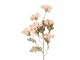 Artificial Flower 82 Cm Beige Plastic - 8*20*82 cm Clayre & Eef