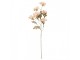 Artificial Flower 82 Cm Beige Plastic - 8*20*82 cm Clayre & Eef