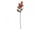 Artificial Flower 70 Cm Pink Plastic - 12*15*70 cm Clayre & Eef