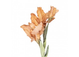 Artificial Flower 85 Cm Brown Plastic - 10*18*85 cm