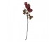 Artificial Flower 70 Cm Red Plastic - 12*15*70 cm Clayre & Eef
