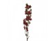 Artificial Flower 110 Cm Red Plastic - 12*15*110 cm Clayre & Eef