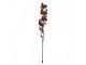 Artificial Flower 110 Cm Red Plastic - 12*15*110 cm Clayre & Eef