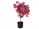 Stromek s růžovými květy Bougainvillea Tree - 30*30*90 cm Clayre & Eef
