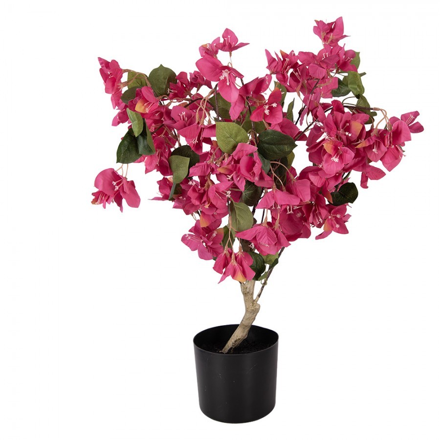 Stromek s růžovými květy Bougainvillea Tree - 30*30*90 cm 5PL0228