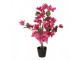 Stromek s růžovými květy Bougainvillea Tree - 25*25*60 cm Clayre & Eef