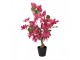 Stromek s růžovými květy Bougainvillea Tree - 25*25*60 cm Clayre & Eef