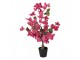Stromek s růžovými květy Bougainvillea Tree - 25*25*60 cm Clayre & Eef