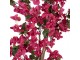 Dekorační strom s růžovými květy Bougainvillea Tree - 40*40*180 cm Clayre & Eef