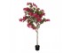 Dekorační strom s růžovými květy Bougainvillea Tree - 55*55*130 cm Clayre & Eef