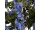 Dekorační strom s květy Wisteria Tree - 40*40*170 cm Clayre & Eef
