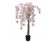 Dekorační strom broskvoň s růžovými květy Peach Blossom - 30*30*120 cm Clayre & Eef