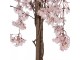 Dekorační strom broskvoň s růžovými květy Peach Blossom - 30*30*120 cm Clayre & Eef