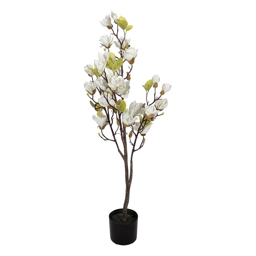 Dekorační stromek Magnolia s bílými květy - 20*15*120 cm