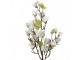 Dekorační stromek Magnolia s bílými květy - 20*15*120 cm Clayre & Eef