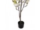 Dekorační stromek Magnolia s bílými květy - 20*15*120 cm Clayre & Eef