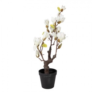 Dekorační stromek Magnolia s bílými květy - 16*14*60 cm