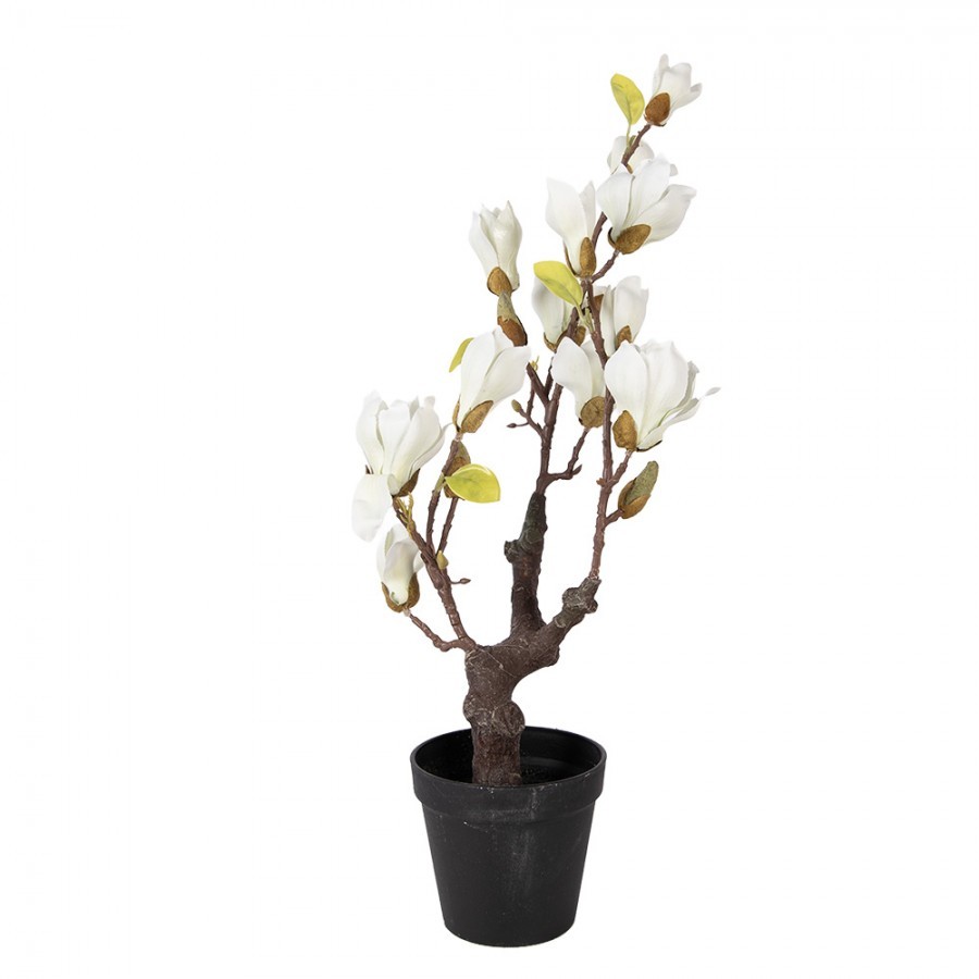 Dekorační stromek Magnolia s bílými květy - 16*14*60 cm