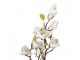 Dekorační stromek Magnolia s bílými květy - 16*14*60 cm Clayre & Eef