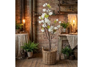 Dekorační stromek Magnolia s bílými květy - 20*15*120 cm