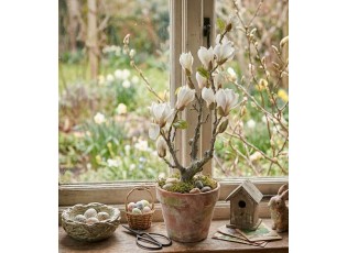 Dekorační stromek Magnolia s bílými květy - 16*14*60 cm