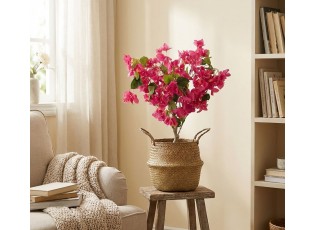 Stromek s růžovými květy Bougainvillea Tree - 30*30*90 cm
